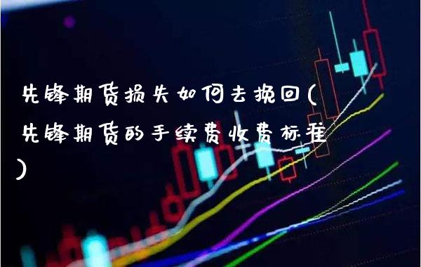先锋期货损失如何去挽回(先锋期货的手续费收费标准)_https://www.gzbbqc.com_道指期货_第1张