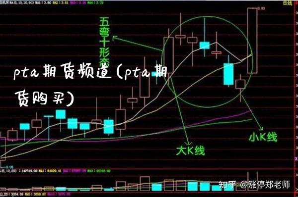 pta期货频道(pta期货购买)_https://www.gzbbqc.com_原油期货_第1张