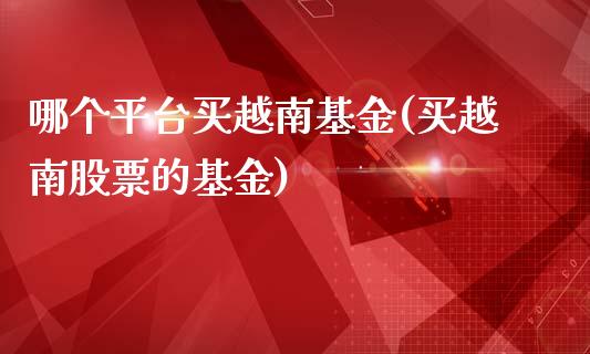 哪个平台买越南基金(买越南股票的基金)_https://www.gzbbqc.com_原油期货_第1张