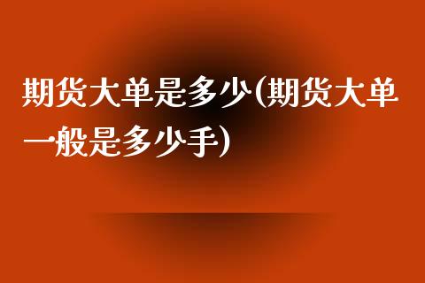 期货大单是多少(期货大单一般是多少手)_https://www.gzbbqc.com_未分类_第1张