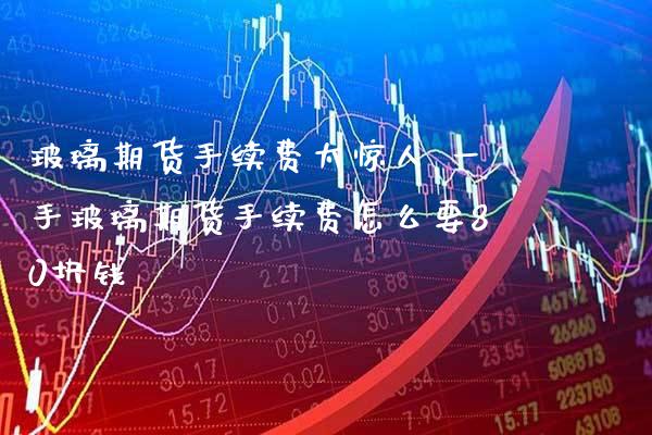 玻璃期货手续费太惊人 一手玻璃期货手续费怎么要80块钱_https://www.gzbbqc.com_纳指期货_第1张