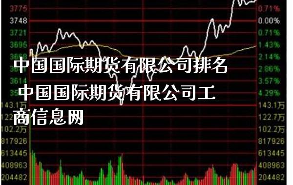 中国国际期货有限公司排名 中国国际期货有限公司工商信息网_https://www.gzbbqc.com_股指期货_第1张