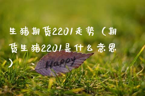 生猪期货2201走势（期货生猪2201是什么意思）_https://www.gzbbqc.com_恒指期货_第1张