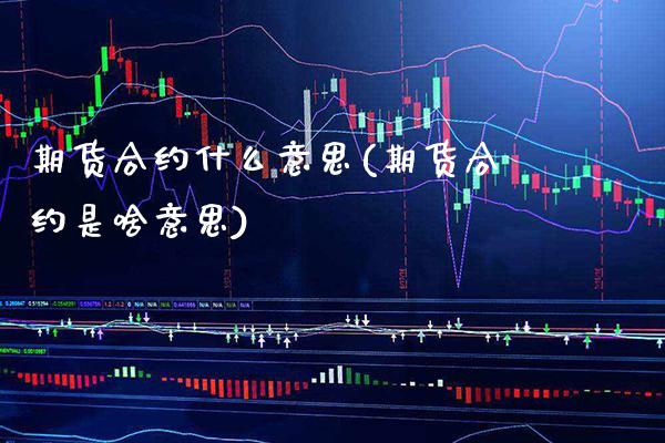 期货合约什么意思(期货合约是啥意思)_https://www.gzbbqc.com_道指期货_第1张