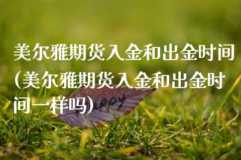 美尔雅期货入金和出金时间(美尔雅期货入金和出金时间一样吗)_https://www.gzbbqc.com_德指期货_第1张