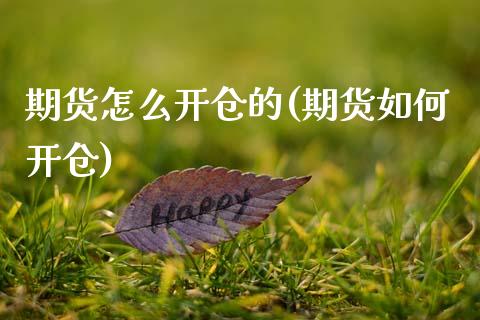 期货怎么开仓的(期货如何开仓)_https://www.gzbbqc.com_纳指期货_第1张