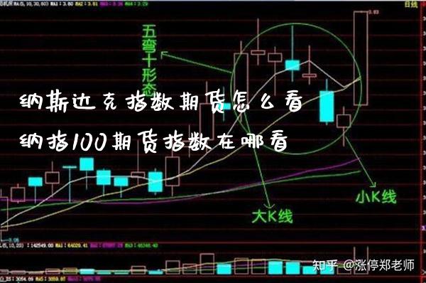 纳斯达克指数期货怎么看 纳指100期货指数在哪看_https://www.gnhpgy.com_纳指期货_第1张