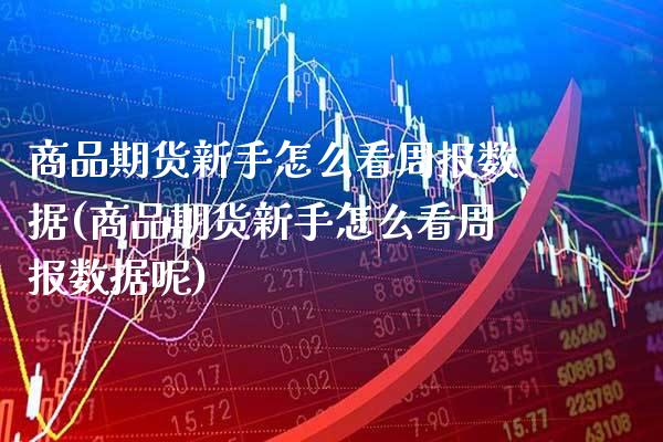 商品期货新手怎么看周报数据(商品期货新手怎么看周报数据呢)_https://www.gzbbqc.com_未分类_第1张