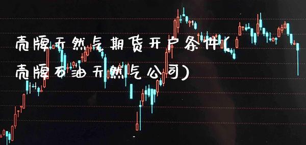 壳牌天然气期货开户条件(壳牌石油天然气公司)_https://www.gzbbqc.com_期货知识_第1张