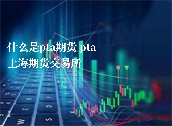什么是pta期货 pta上海期货交易所_https://www.gzbbqc.com_期货知识_第1张