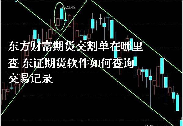 财富期货交割单在哪里查 期货软件如何查询交易记录_https://www.gnhpgy.com_恒指期货_第1张