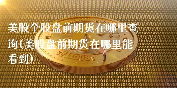 美股个股盘前期货在哪里查询(美股盘前期货在哪里能看到)_期货知识_第1张_八八期货网 美股个股盘前期货在哪里查询(美股盘前期货在哪里能看到)_https://www.gzbbqc.com_期货知识_第1张
