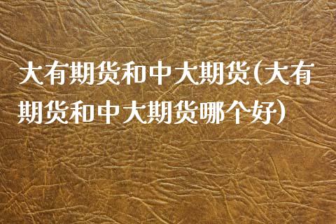 大有期货和中大期货(大有期货和中大期货哪个好)_https://www.gzbbqc.com_道指期货_第1张