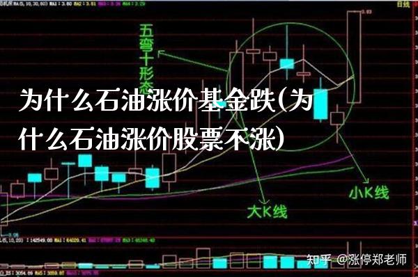为什么石油涨价基金跌(为什么石油涨价股票不涨)_https://www.gzbbqc.com_未分类_第1张