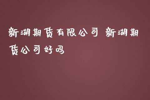 新湖期货有限公司 新湖期货公司好吗_https://www.gnhpgy.com_股指期货_第1张