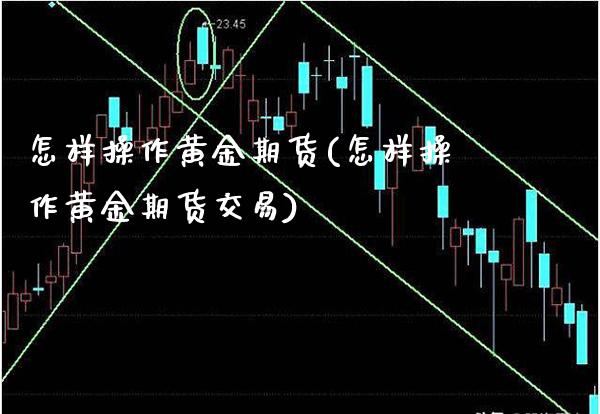 怎样操作黄金期货(怎样操作黄金期货交易)_https://www.gzbbqc.com_原油期货_第1张