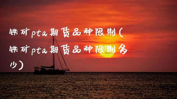 铁矿pta期货品种限制(铁矿pta期货品种限制多少)_https://www.gzbbqc.com_纳指期货_第1张