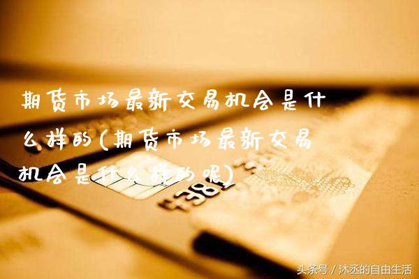 期货市场最新交易机会是什么样的(期货市场最新交易机会是什么样的呢)_https://www.gzbbqc.com_道指期货_第1张