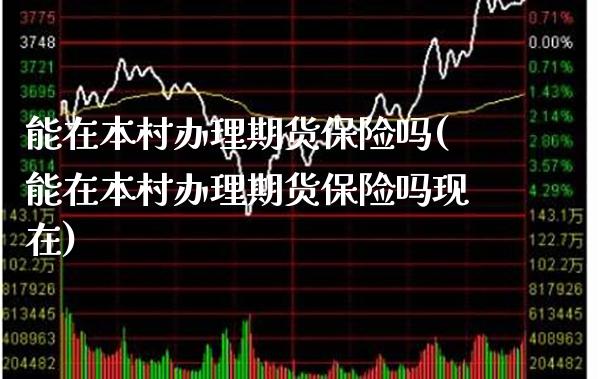 能在本村办理期货保险吗(能在本村办理期货保险吗现在)_https://www.gzbbqc.com_道指期货_第1张