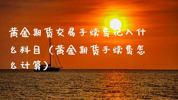 黄金期货交易手续费记入什么科目（黄金期货手续费怎么计算）_https://www.gzbbqc.com_股指期货_第1张