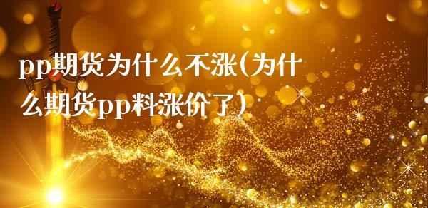 pp期货为什么不涨(为什么期货pp料涨价了)_https://www.gzbbqc.com_期货知识_第1张