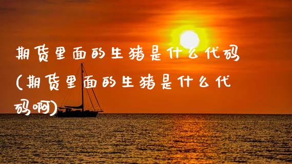 期货里面的生猪是什么代码(期货里面的生猪是什么代码啊)_https://www.gzbbqc.com_股指期货_第1张
