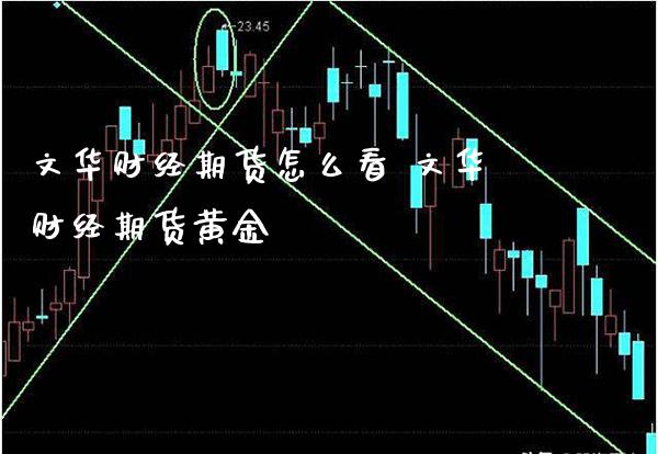 财经期货怎么看 财经期货黄金_https://www.gnhpgy.com_黄金期货_第1张