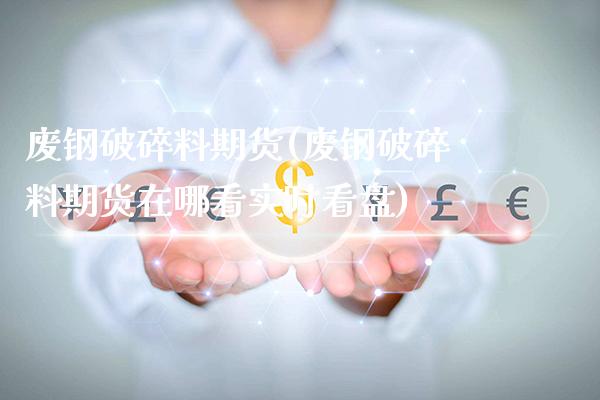 废钢破碎料期货(废钢破碎料期货在哪看实时看盘)_https://www.gzbbqc.com_德指期货_第1张