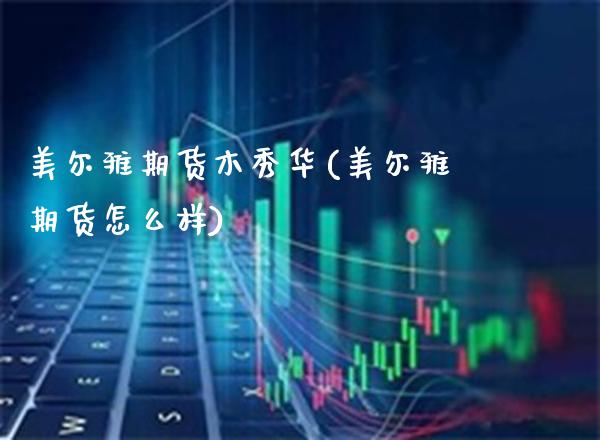 美尔雅期货木秀华(美尔雅期货怎么样)_https://www.gzbbqc.com_纳指期货_第1张