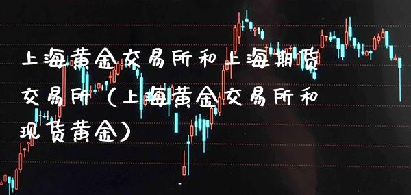 上海黄金交易所和上海期货交易所（上海黄金交易所和现货黄金）_https://www.gzbbqc.com_原油期货_第1张