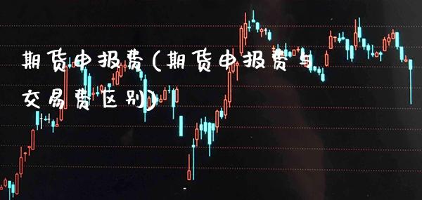 期货申报费(期货申报费与交易费区别)_https://www.gzbbqc.com_股指期货_第1张