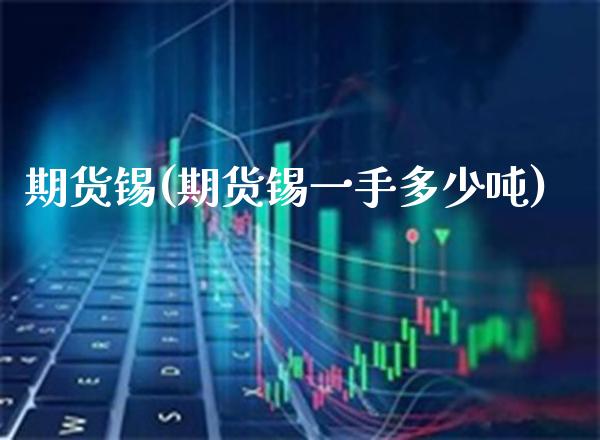 期货锡(期货锡一手多少吨)_https://www.gzbbqc.com_纳指期货_第1张