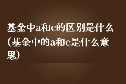 基金中a和c的区别是什么(基金中的a和c是什么意思)_https://www.gzbbqc.com_恒指期货_第1张