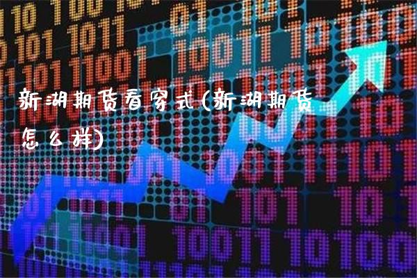 新湖期货看穿式(新湖期货怎么样)_https://www.gzbbqc.com_德指期货_第1张