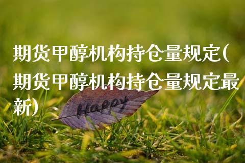 期货甲醇机构持仓量规定(期货甲醇机构持仓量规定最新)_https://www.gzbbqc.com_道指期货_第1张