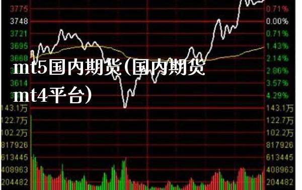 mt5国内期货(国内期货mt4平台)_https://www.gzbbqc.com_股指期货_第1张