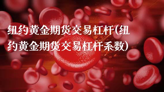 纽约黄金期货交易杠杆(纽约黄金期货交易杠杆系数)_https://www.gzbbqc.com_黄金期货_第1张