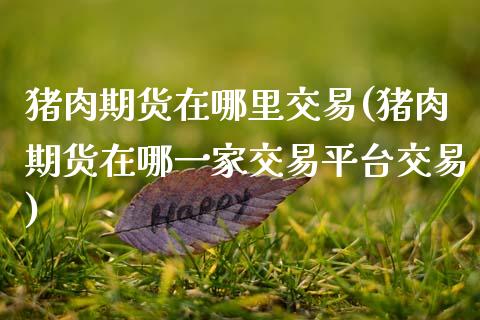 猪肉期货在哪里交易(猪肉期货在哪一家交易平台交易)_https://www.gzbbqc.com_道指期货_第1张