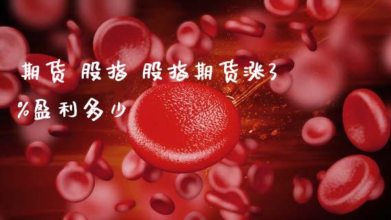 期货 股指 股指期货涨3%盈利多少_https://www.gnhpgy.com_期货知识_第1张