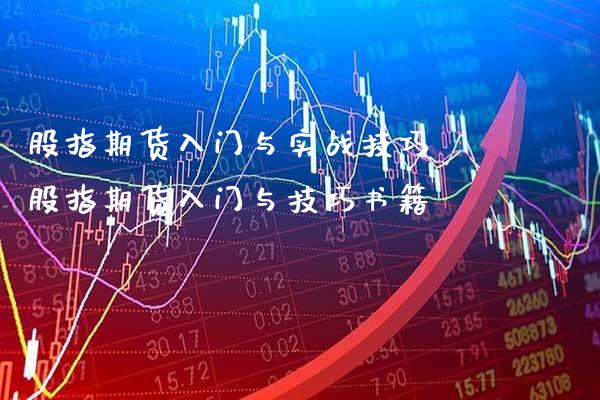 股指期货入门与实战技巧 股指期货入门与技巧书籍_https://www.gzbbqc.com_期货知识_第1张