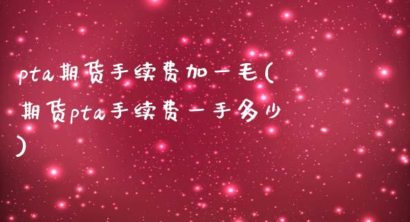 pta期货手续费加一毛(期货pta手续费一手多少)_https://www.gzbbqc.com_道指期货_第1张