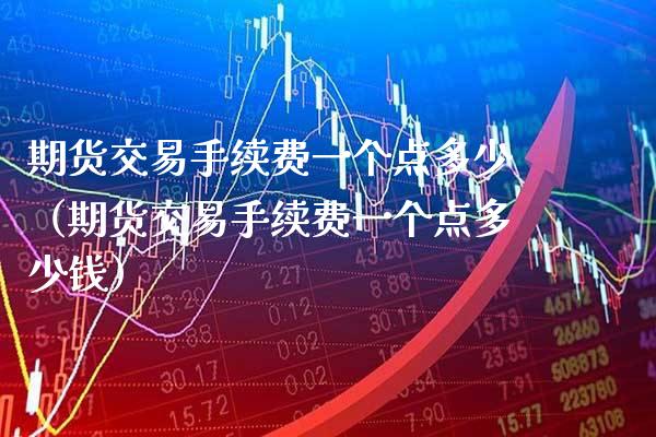 期货交易手续费一个点多少（期货交易手续费一个点多少钱）_https://www.gzbbqc.com_恒指期货_第1张