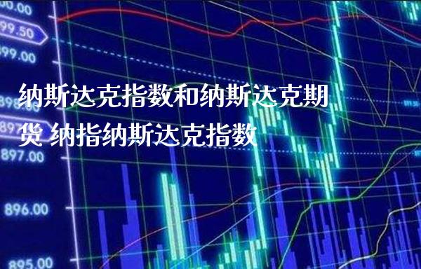 纳斯达克指数和纳斯达克期货 纳指纳斯达克指数_https://www.gzbbqc.com_纳指期货_第1张