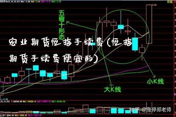 宏业期货恒指手续费(恒指期货手续费便宜的)_https://www.gzbbqc.com_股指期货_第1张
