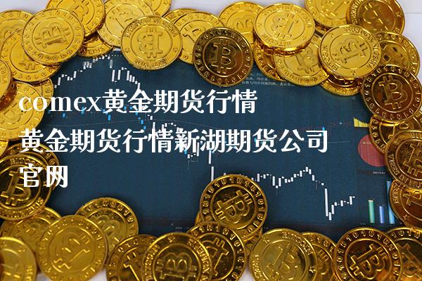comex黄金期货行情 黄金期货行情新湖期货公司官网_https://www.gzbbqc.com_黄金期货_第1张
