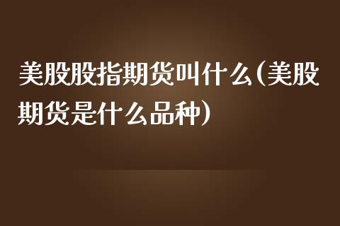 美股股指期货叫什么(美股期货是什么品种)_黄金期货_第1张_八八期货网 美股股指期货叫什么(美股期货是什么品种)_https://www.gzbbqc.com_黄金期货_第1张
