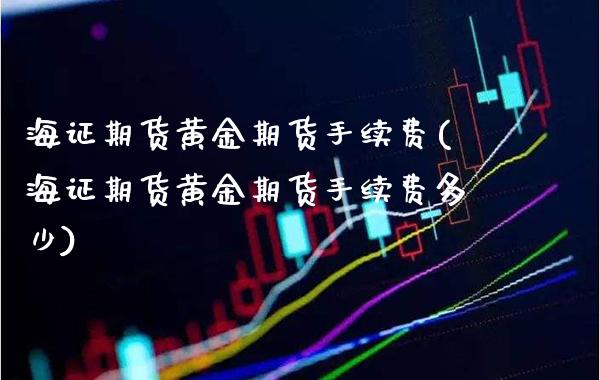 海证期货黄金期货手续费(海证期货黄金期货手续费多少)_https://www.gzbbqc.com_恒指期货_第1张