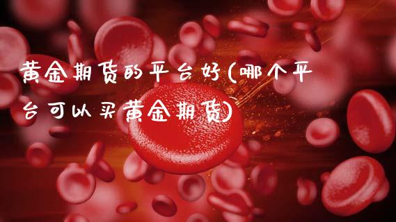 黄金期货的平台好(哪个平台可以买黄金期货)_https://www.gzbbqc.com_道指期货_第1张