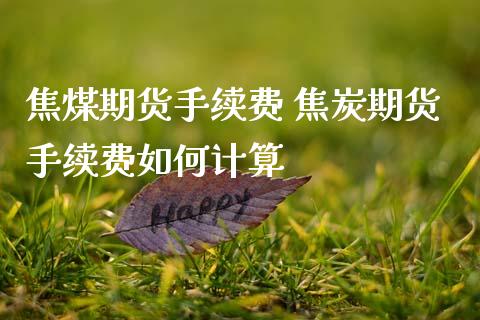 焦煤期货手续费 焦炭期货手续费如何计算_https://www.gzbbqc.com_黄金期货_第1张