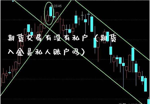 期货交易有没有私户（期货入金是私人账户吗）_https://www.gzbbqc.com_恒指期货_第1张